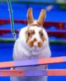 /album/fotografie-hopu/a6-jpg/